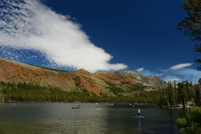 DSC_0026 (Large).JPG